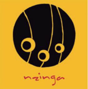 Grupo Nzinga de Capoeira Angola